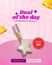 Load image into Gallery viewer, NACAR STAR